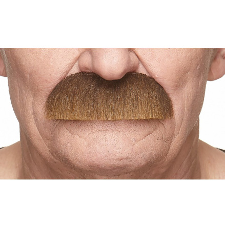 Mustasch, barkeep brun