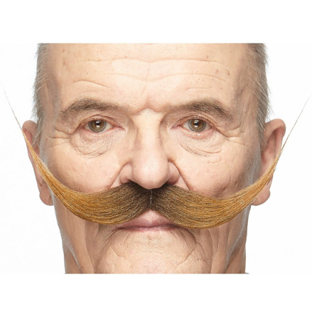 Mustasch, maestro brun